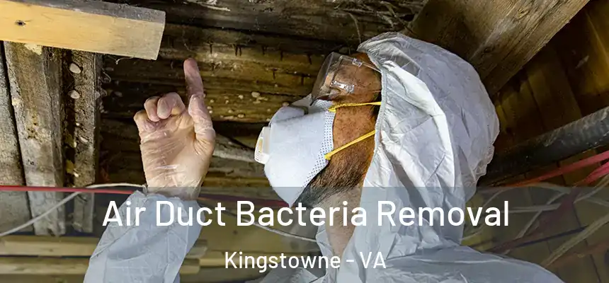  Air Duct Bacteria Removal Kingstowne - VA