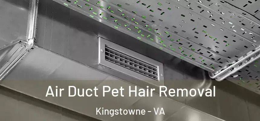  Air Duct Pet Hair Removal Kingstowne - VA