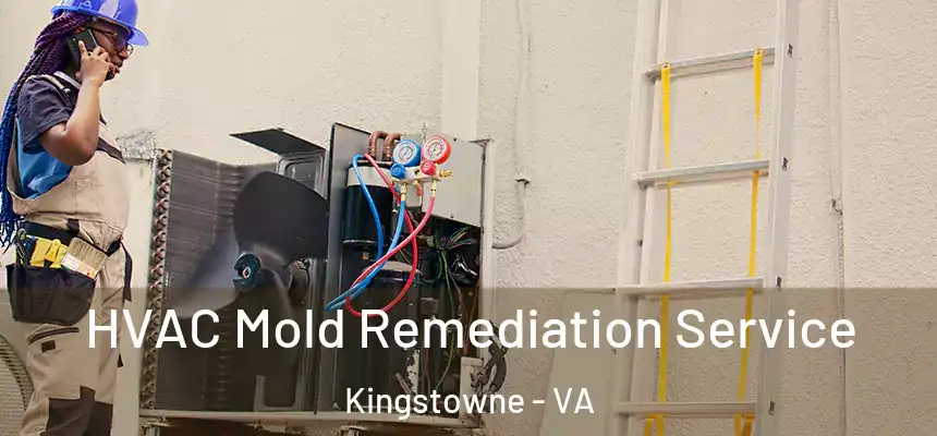  HVAC Mold Remediation Service Kingstowne - VA