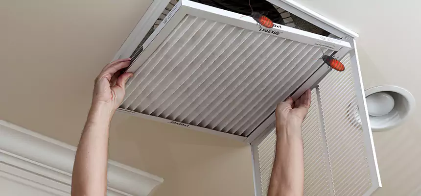 Preventive Cockroach-Proofing for Ducts in Kingstowne