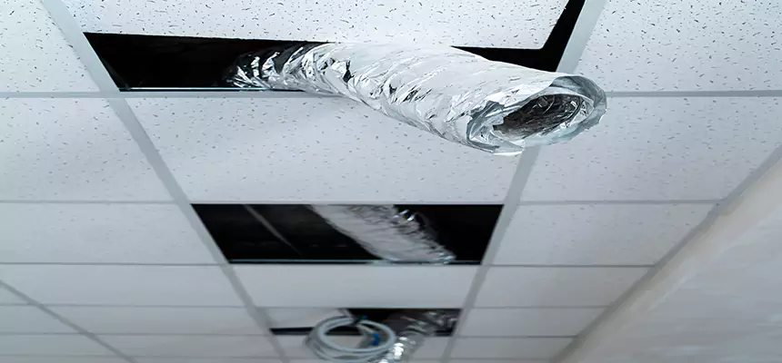 Our Air Duct Pet Hair Removal Services in Kingstowne, VA