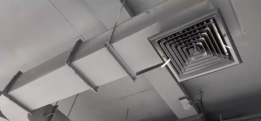 Restorative Allergy Relief Vent Cleaning – Coil, Blower & Housing Detail in Kingstowne