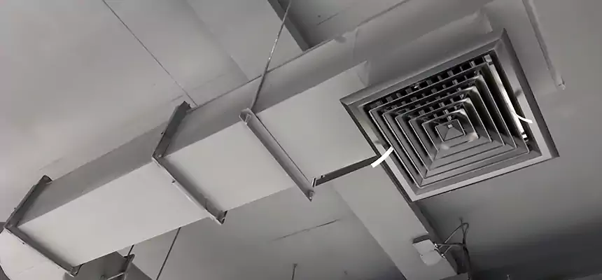 Our Pest Removal From Ducts Services in Kingstowne, VA