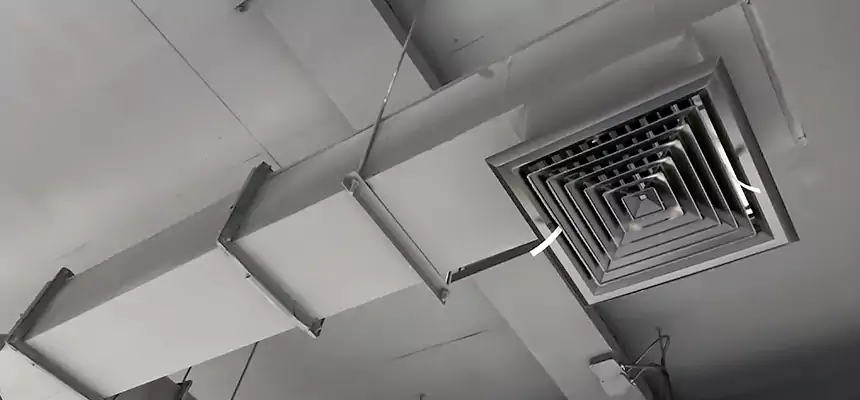 Our Rodent Droppings In Vents Services in Kingstowne, VA