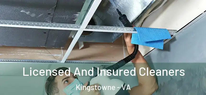  Licensed And Insured Cleaners Kingstowne - VA