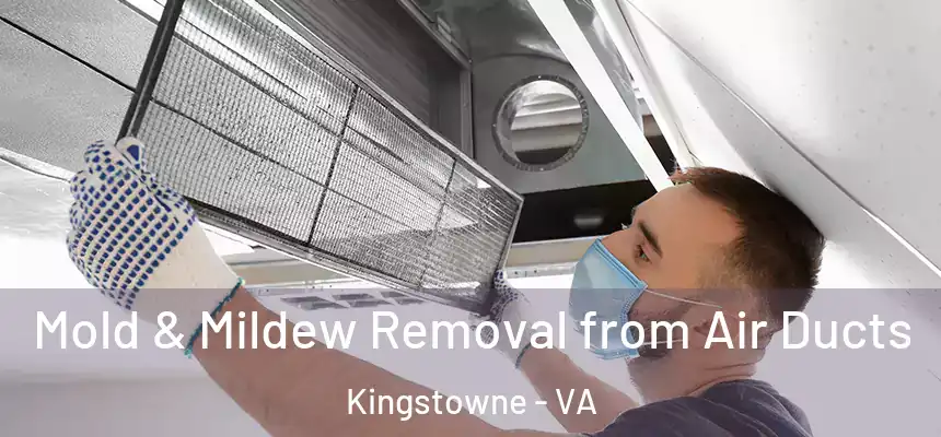  Mold & Mildew Removal from Air Ducts Kingstowne - VA