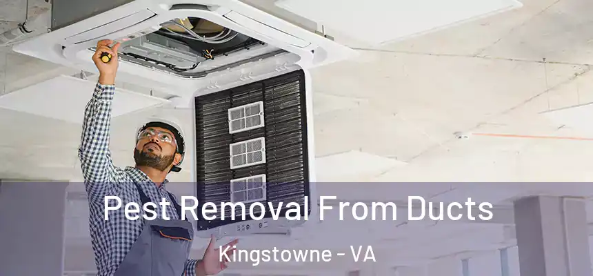  Pest Removal From Ducts Kingstowne - VA
