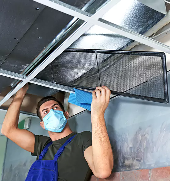 About Air Duct Bacteria Removal in Kingstowne