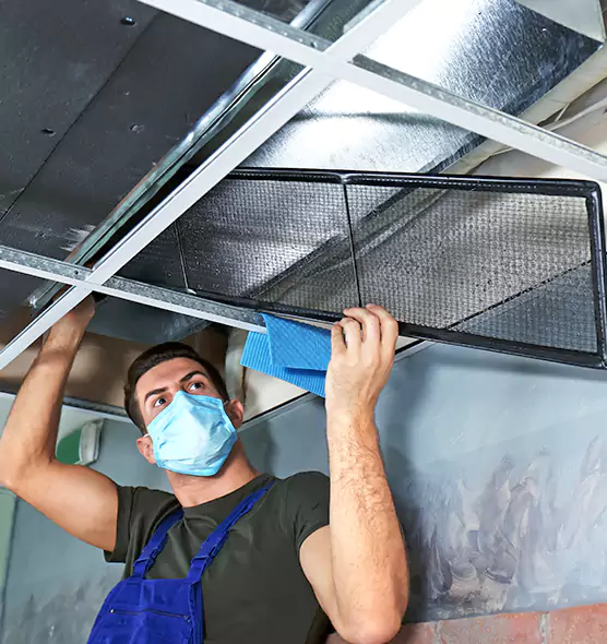 Professional Air Duct Pollen Cleaning in Kingstowne, VA