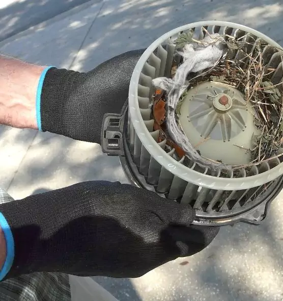 About Air Duct Rat Removal in Kingstowne, VA