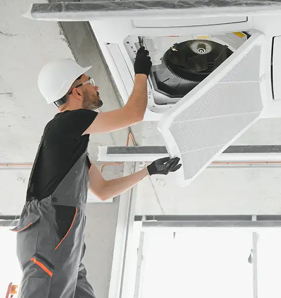 About Air Duct Rodent Removal in Kingstowne, VA