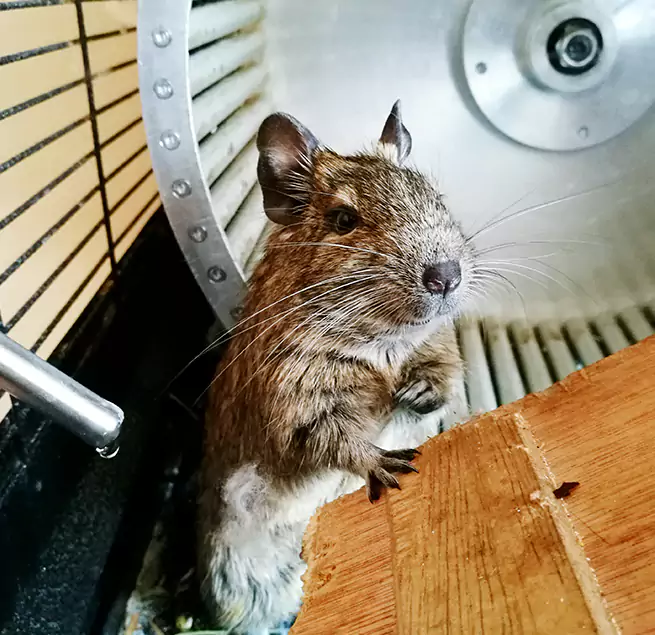 Why Homeowners & Businesses Trust Us Kingstowne, VA