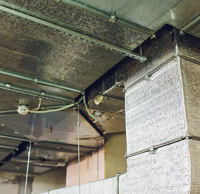 Why Homeowners & Businesses Trust Us in Kingstowne, VA?